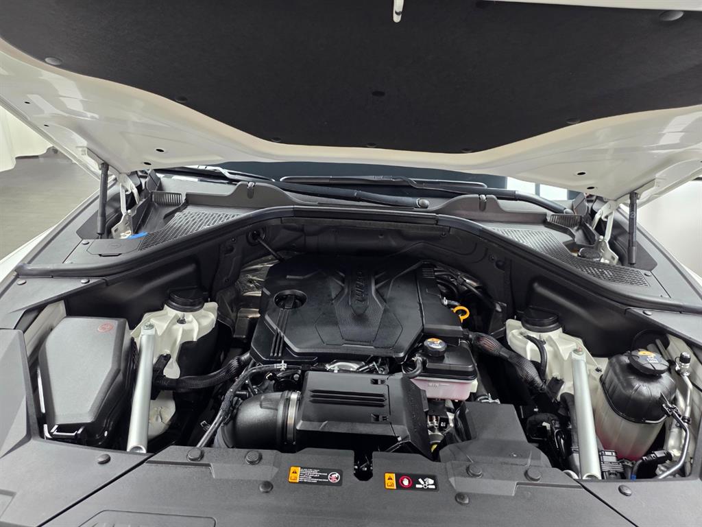 Genesis GV80 - Vista 12