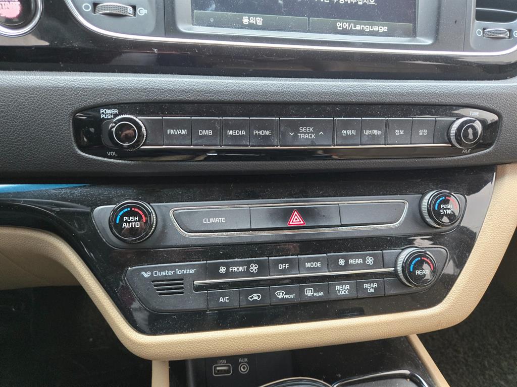 KIA Carnival - Vista 7