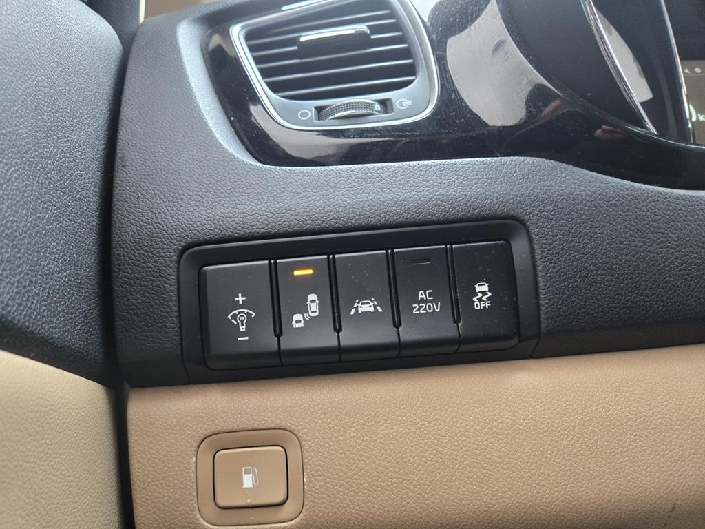 KIA Carnival - Vista 11