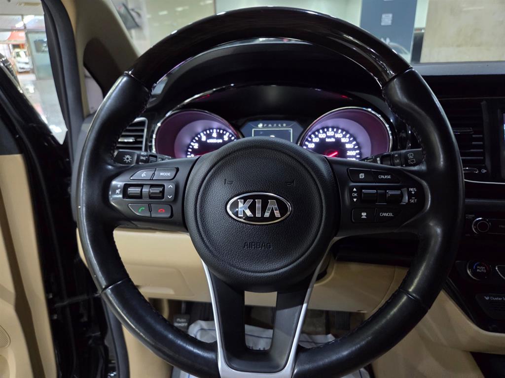 KIA Carnival - Vista 12