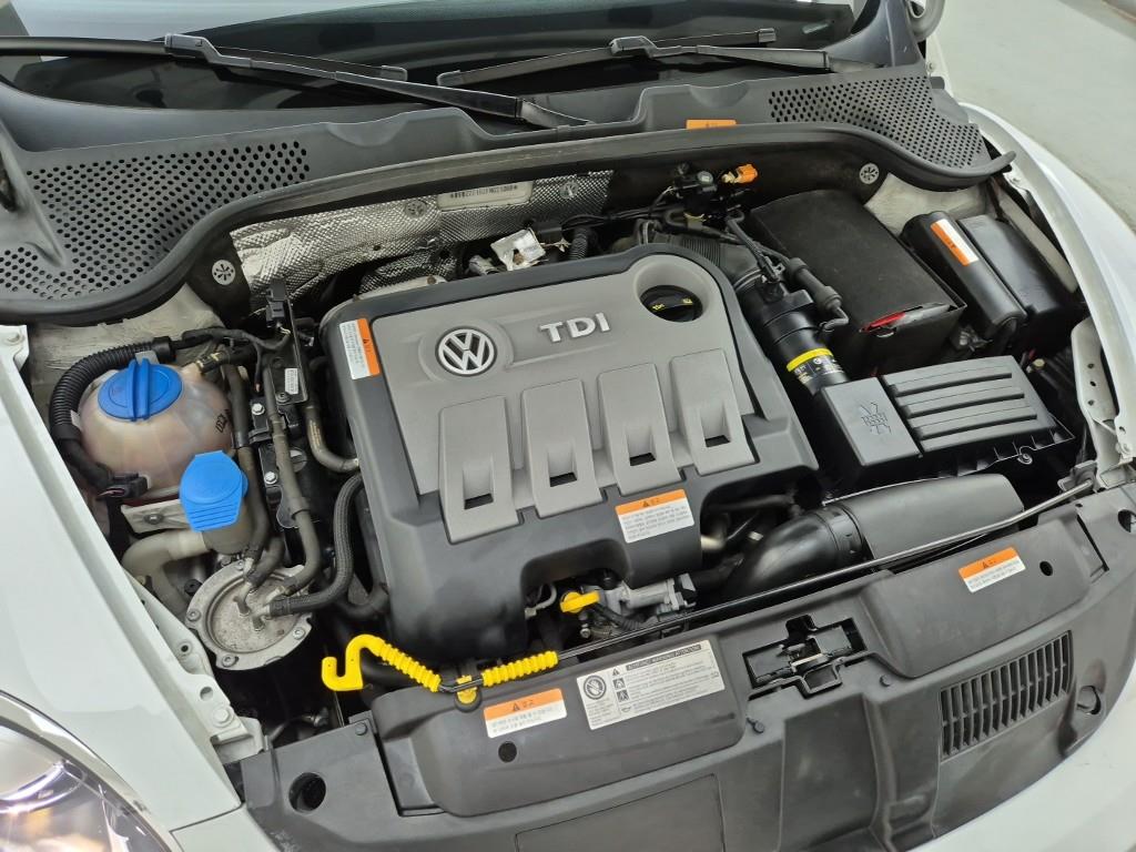 Volkswagen Beetle - Vista 6