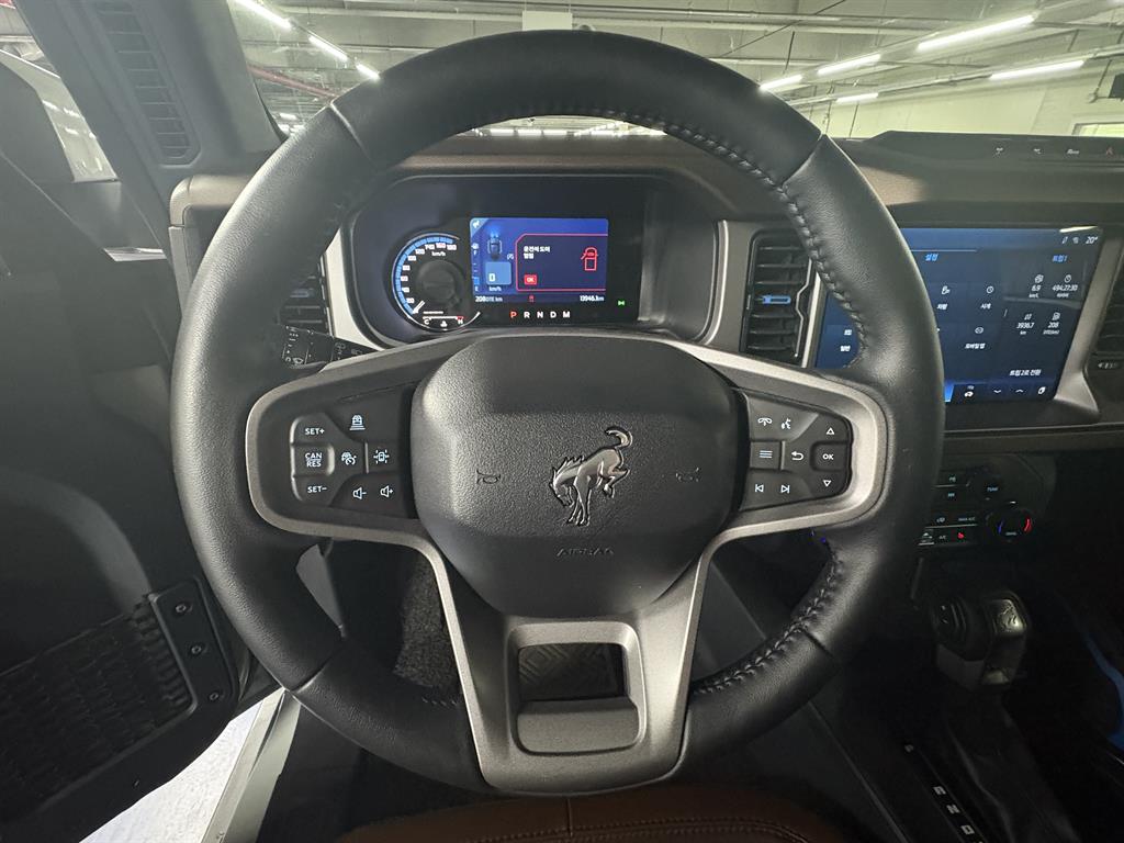 Ford Bronco - Vista 12