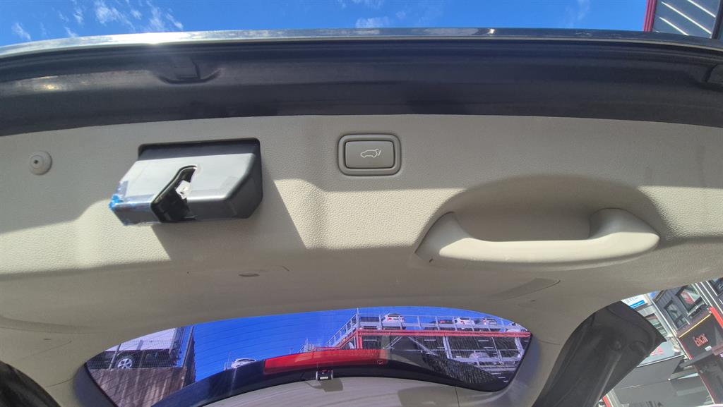 KIA Carnival - Vista 8