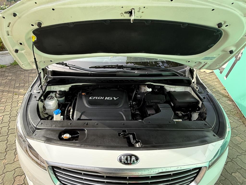 KIA Carnival - Vista 6