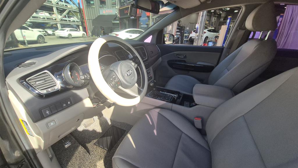 KIA Carnival - Vista 12