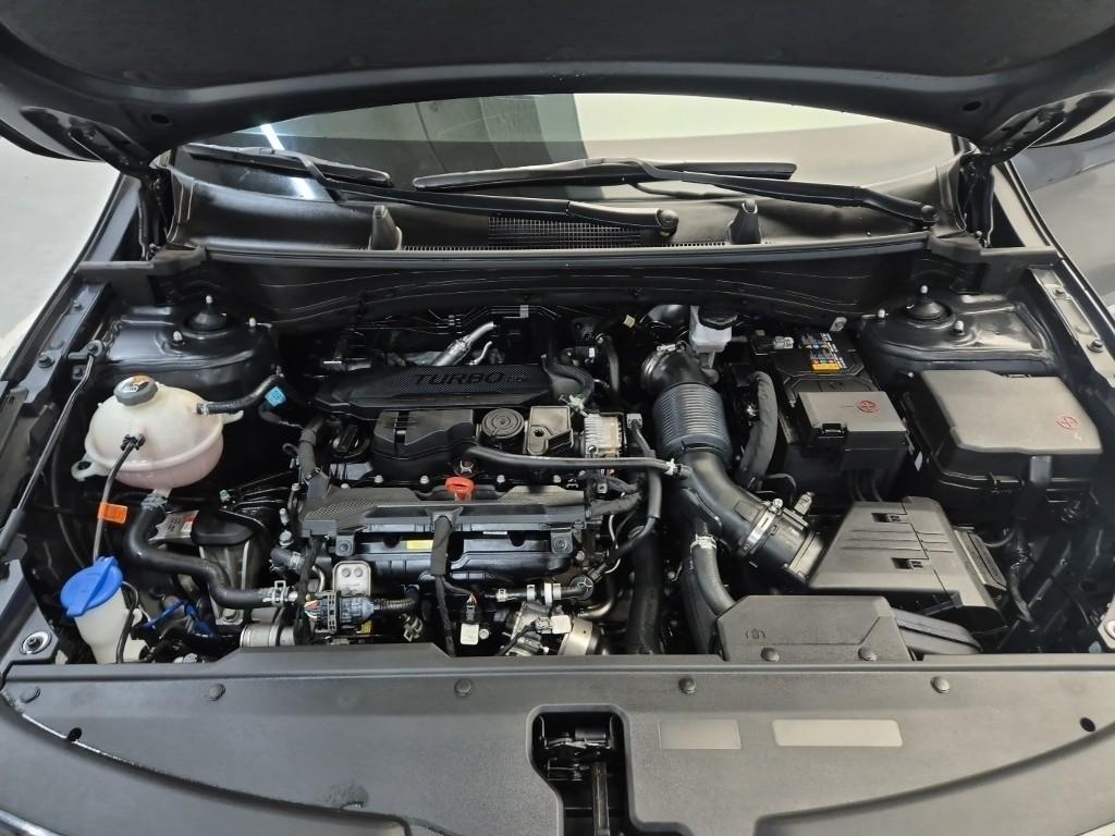 KIA Sportage - Vista 5