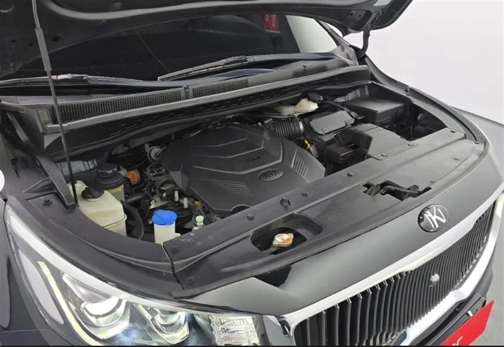 KIA Carnival - Vista 6