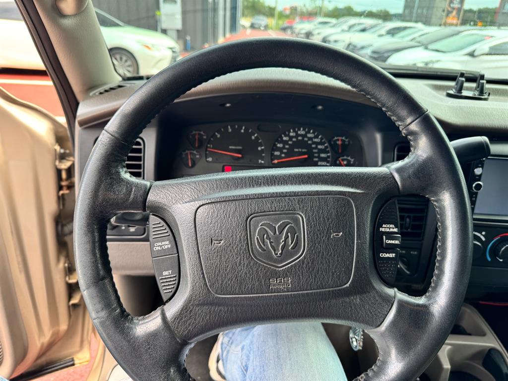 DODGE Dakota - Vista 8