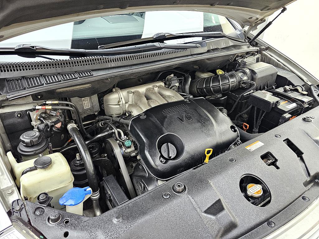 KIA Carnival - Vista 6