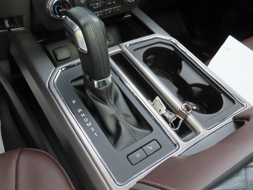 Ford F-Series - Vista 11