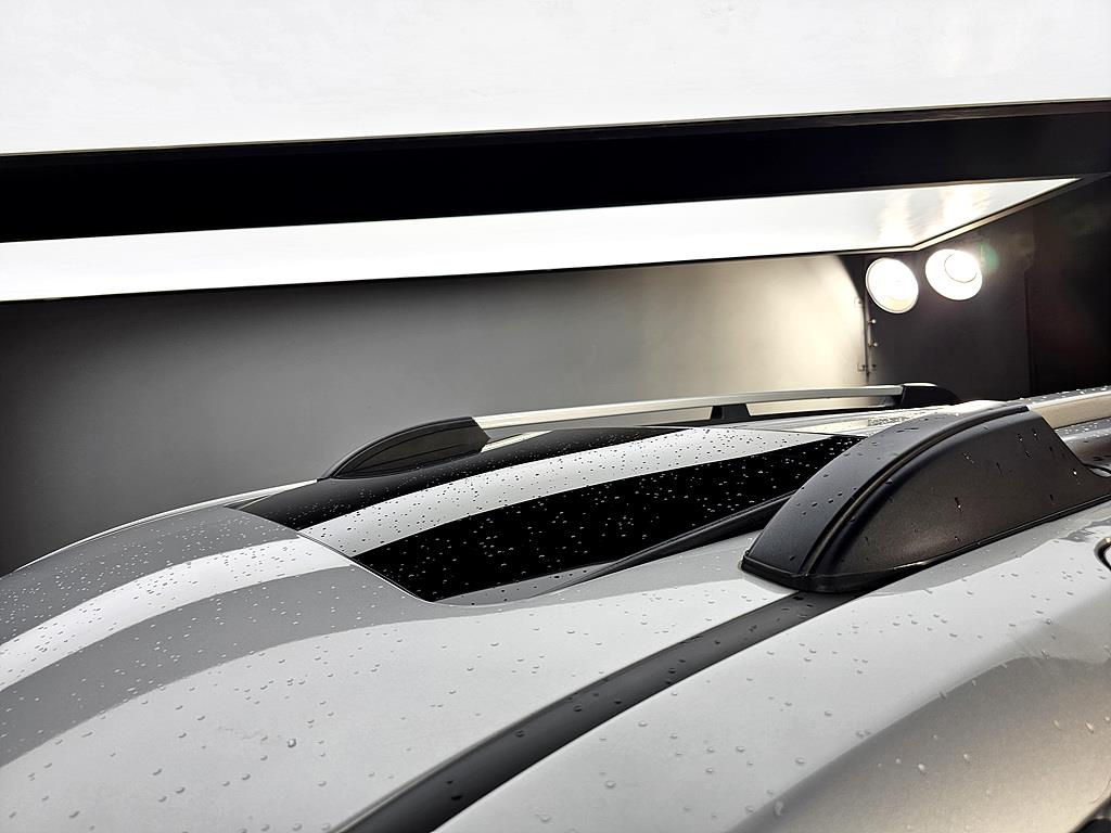 KIA Carnival 2008 Plateado - Importación desde Corea - HF Imports Iquique - Foto 13