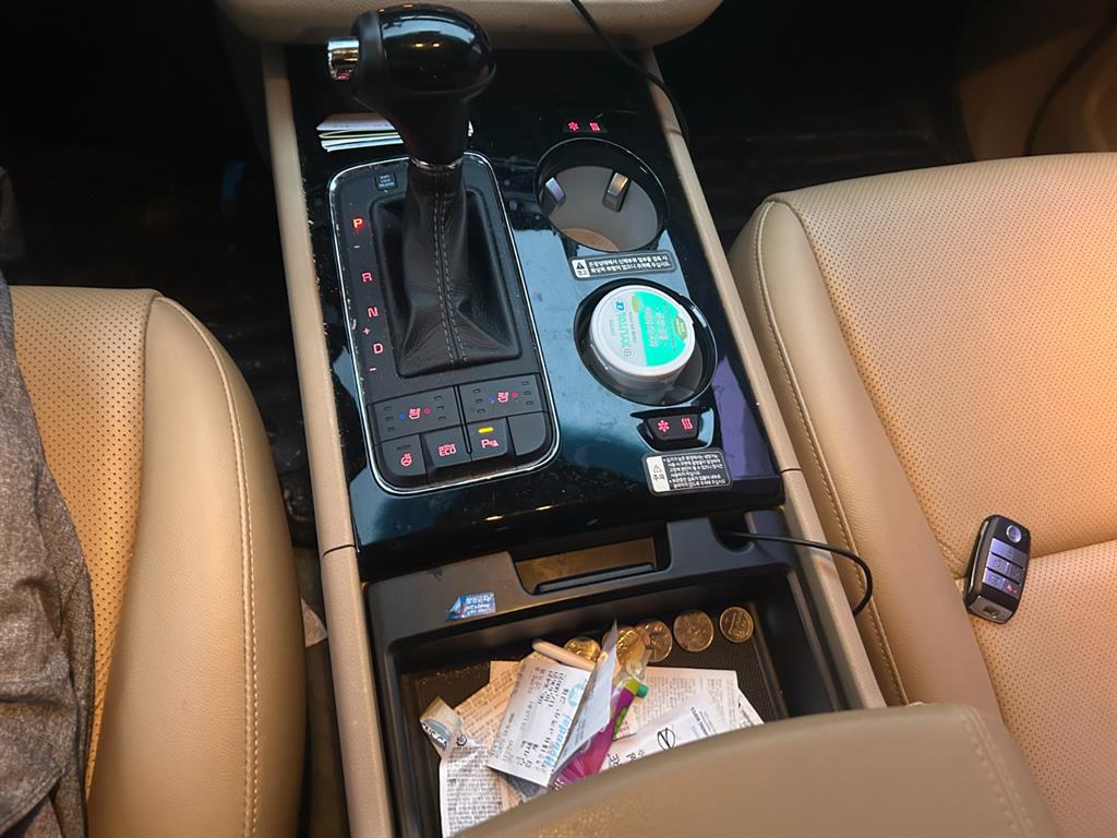 KIA Carnival - Vista 9