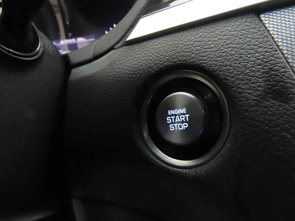 Genesis G80 - Vista 12