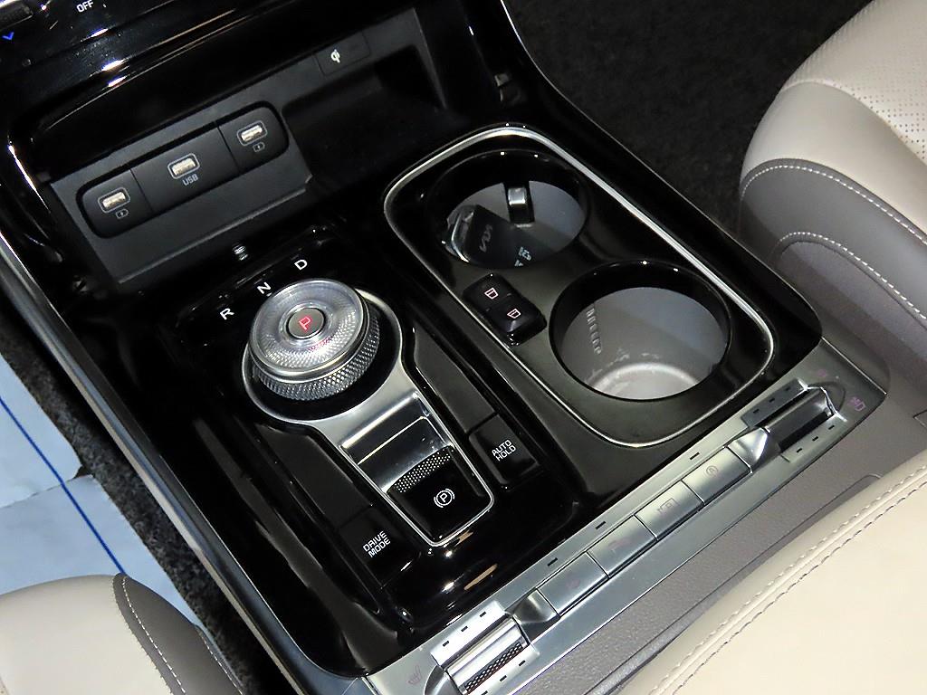 KIA Carnival - Vista 12