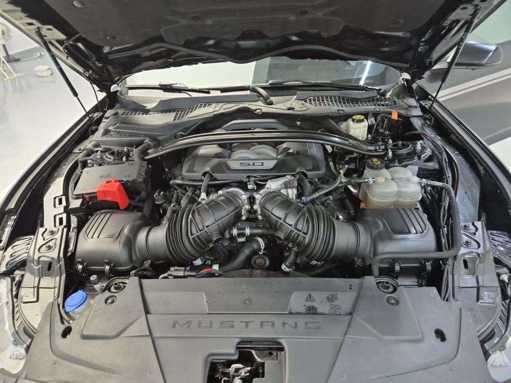 Ford Mustang - Vista 5