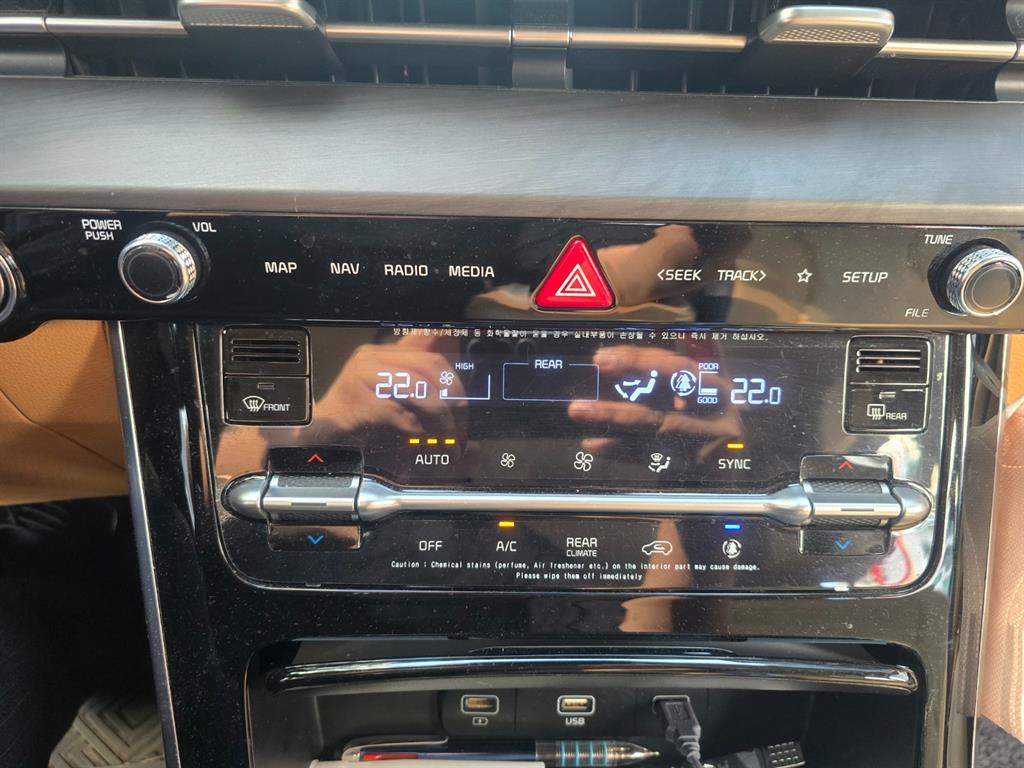 KIA Carnival - Vista 11