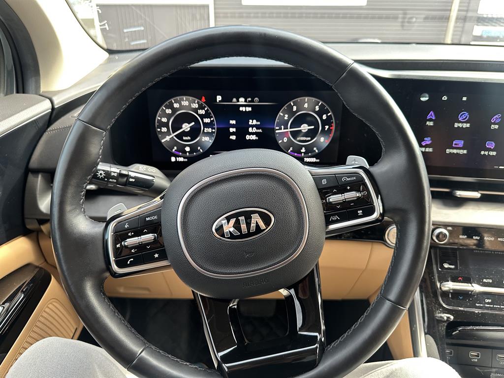 KIA Carnival - Vista 3