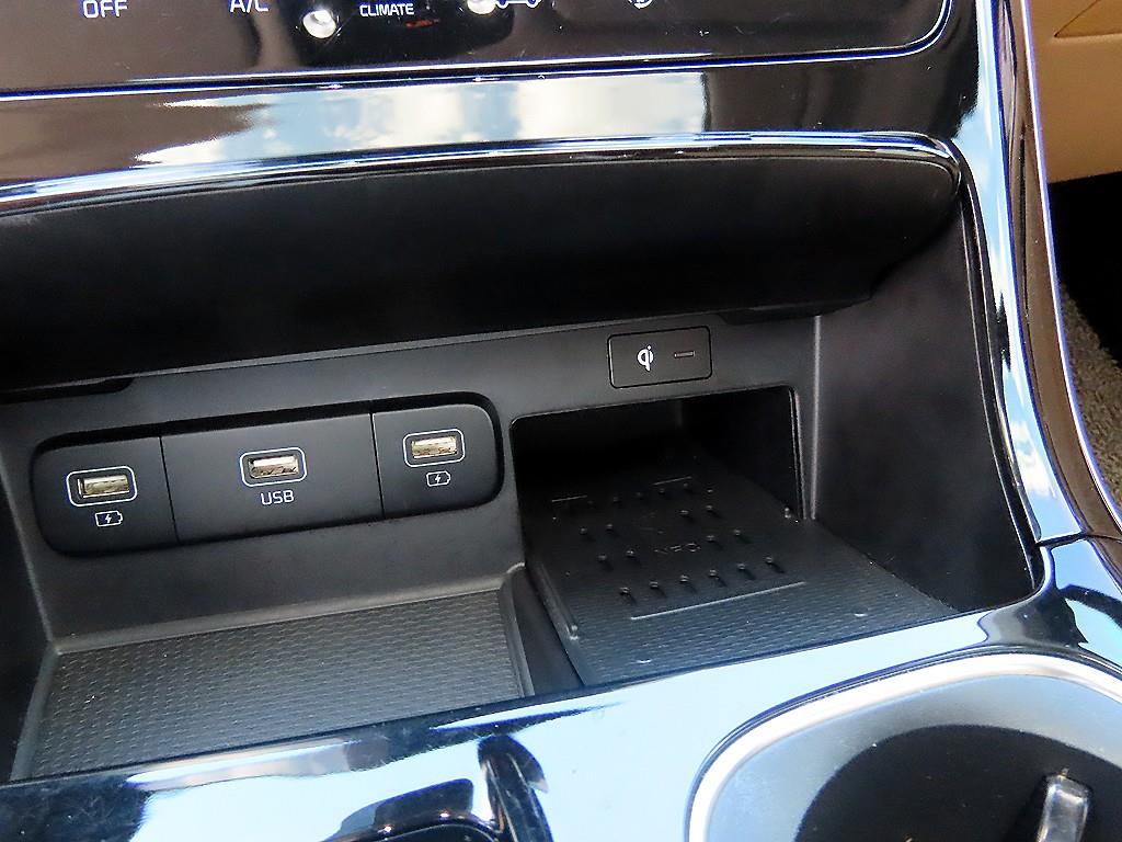 KIA Carnival - Vista 12