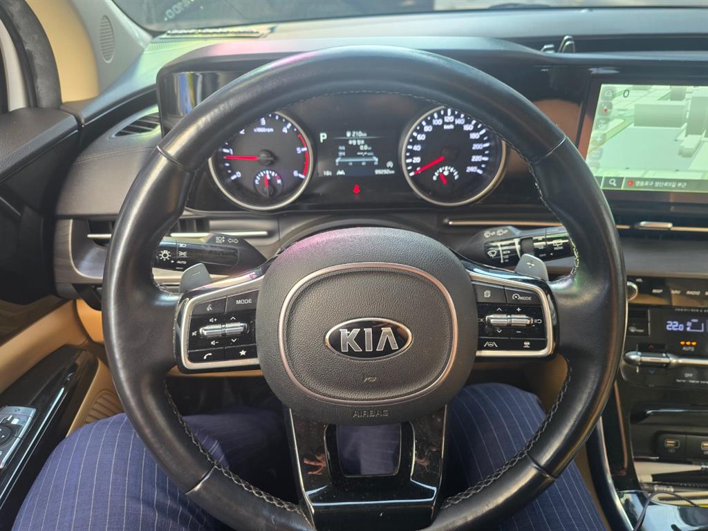 KIA Carnival - Vista 8