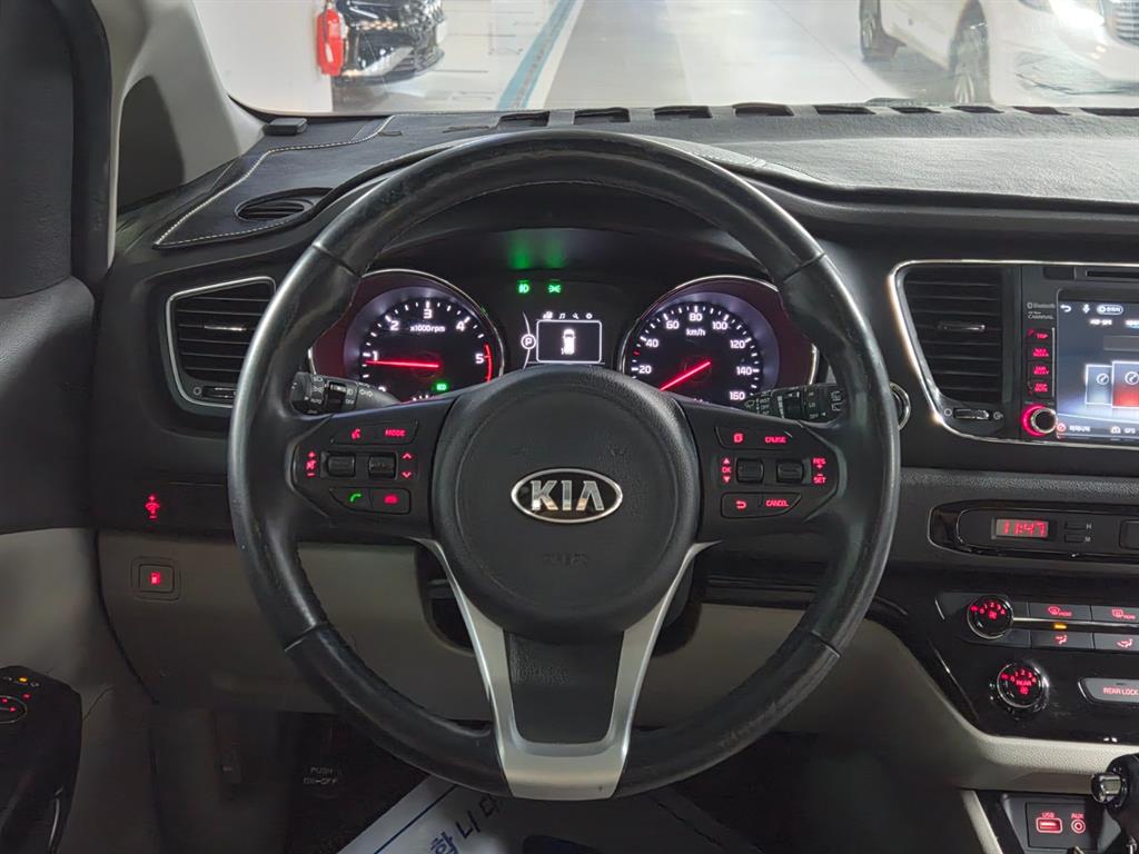 KIA Carnival - Vista 8