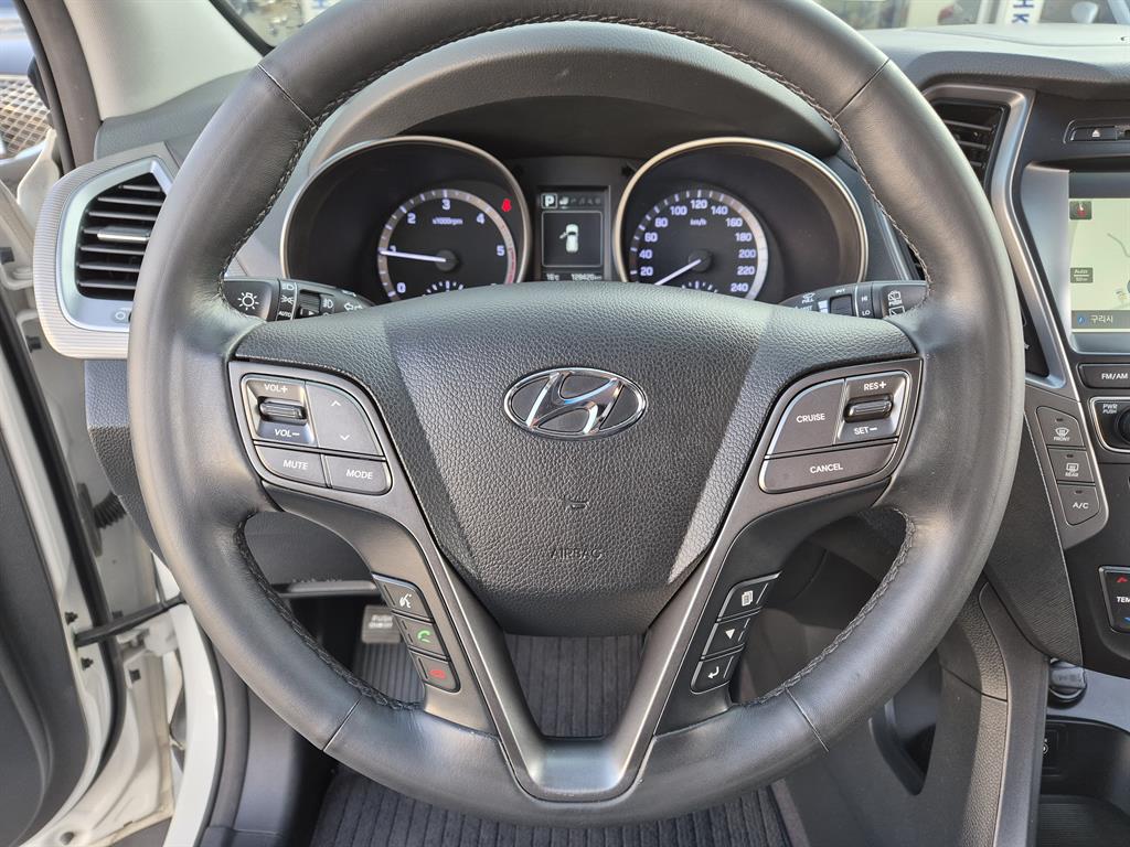 HYUNDAI Maxcruz - Vista 11