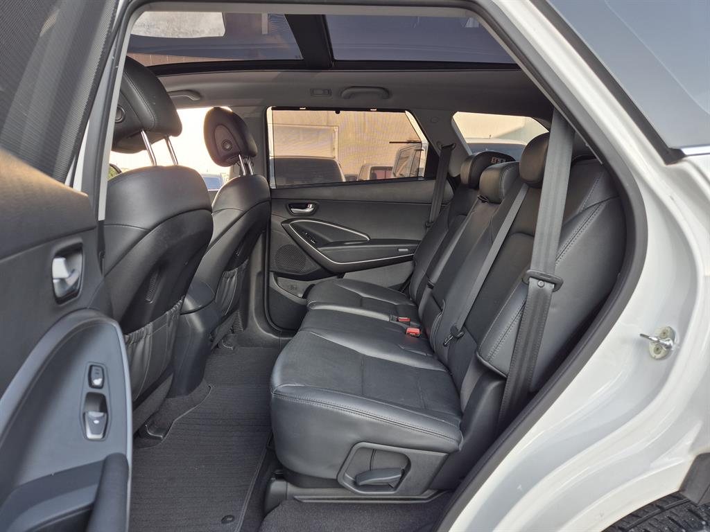 HYUNDAI Maxcruz - Vista 8