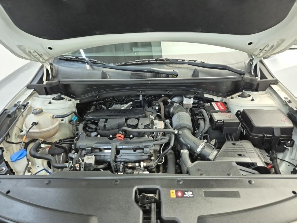 KIA Sportage - Vista 5