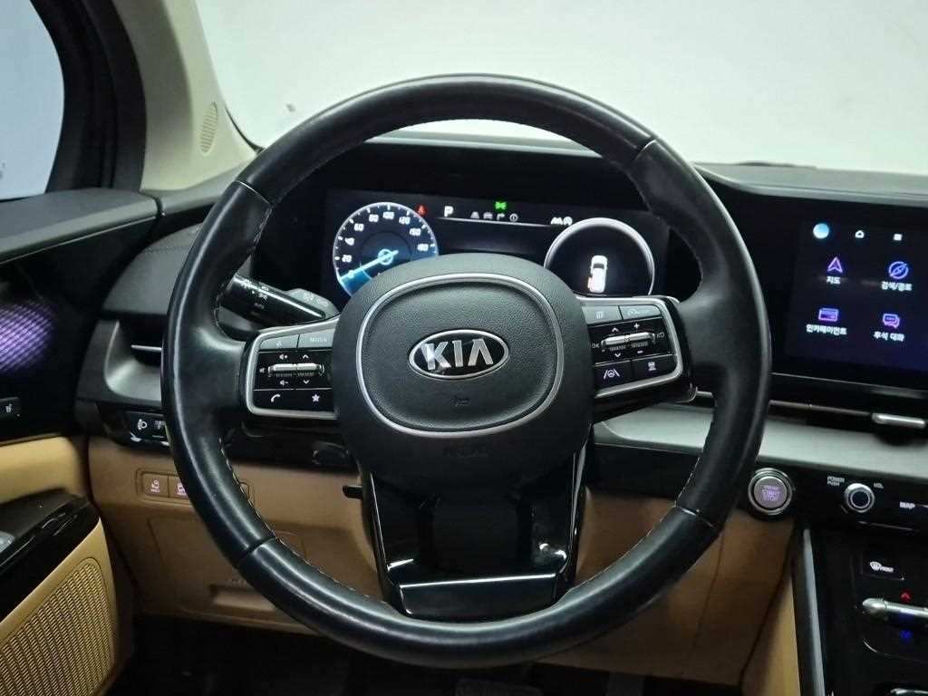 KIA Carnival - Vista 11
