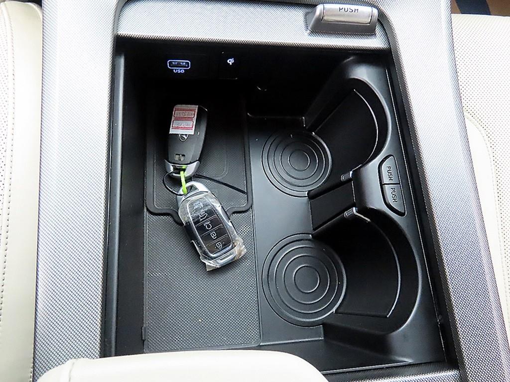 HYUNDAI Palisade - Vista 12