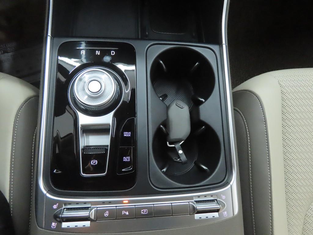 KIA Carnival - Vista 12