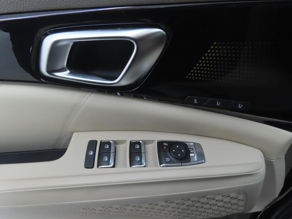 KIA Carnival - Vista 9