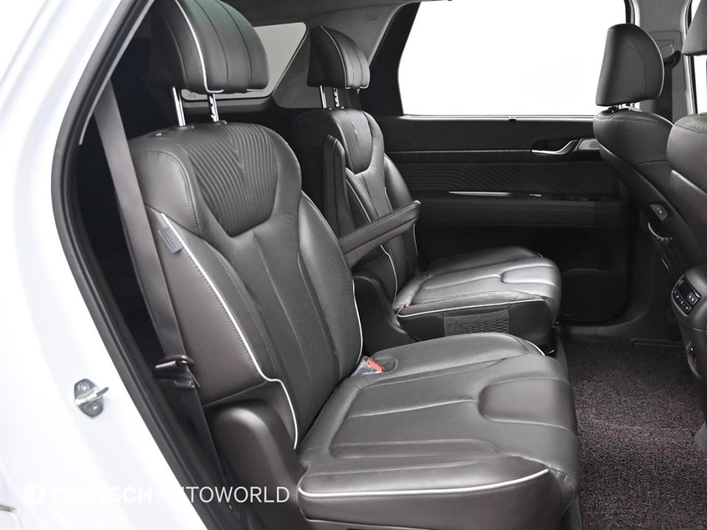 HYUNDAI Palisade - Vista 12