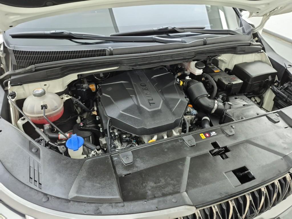 KIA Carnival - Vista 6