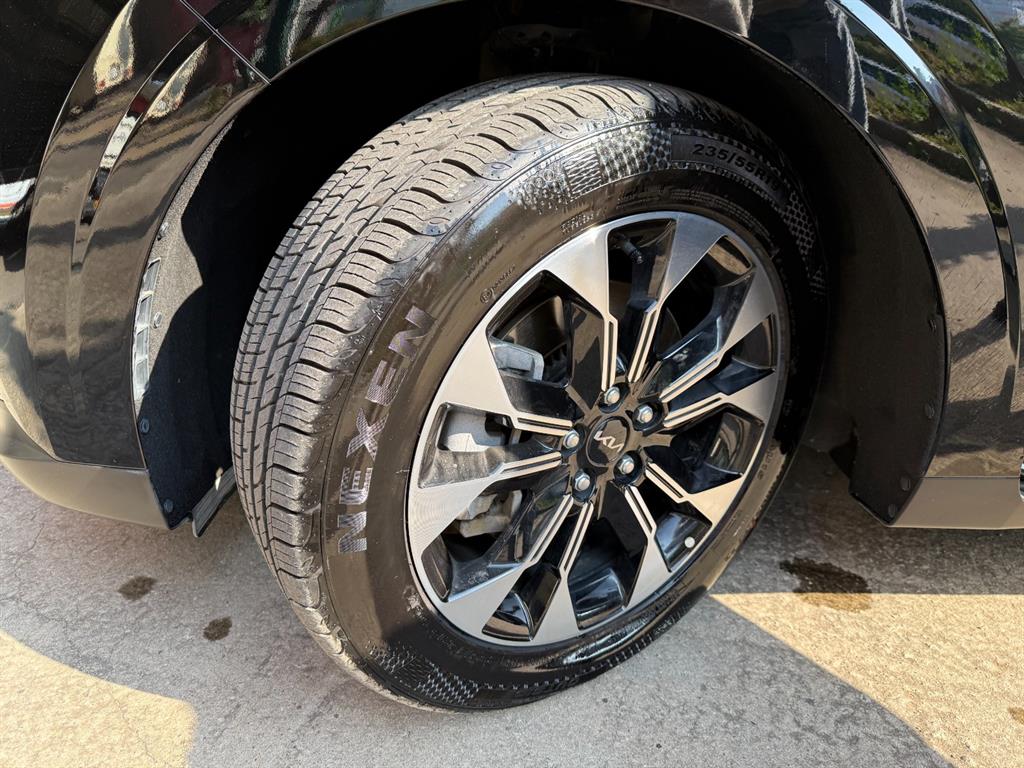 KIA Carnival - Vista 8