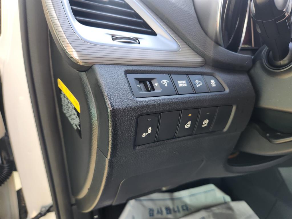 HYUNDAI Maxcruz - Vista 12