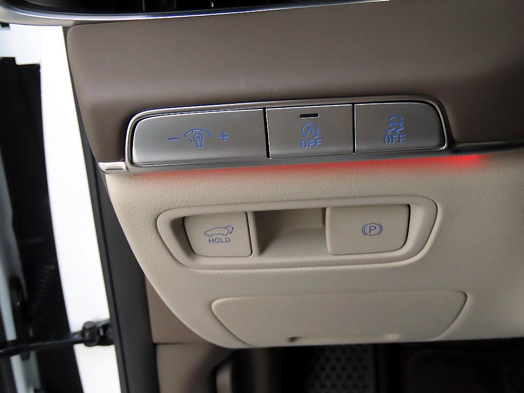 Genesis GV80 - Vista 12