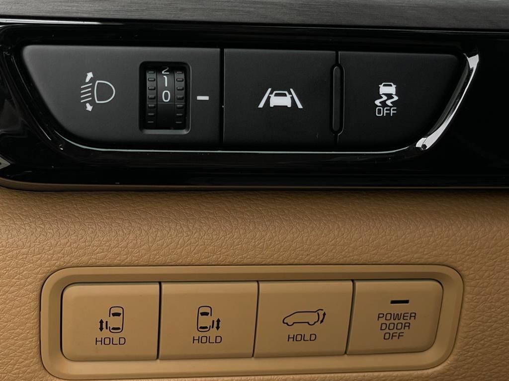 KIA Carnival - Vista 6