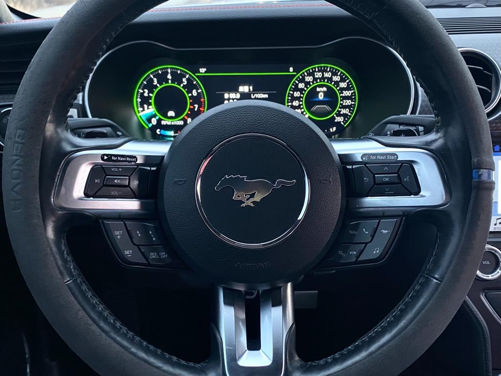 Ford Mustang - Vista 8