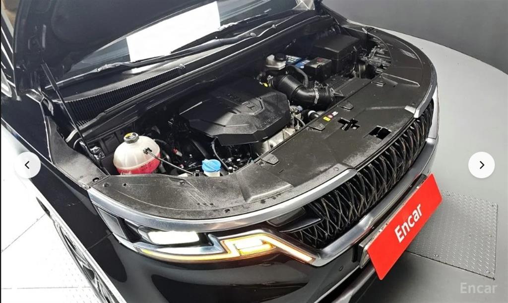 KIA Carnival - Vista 6