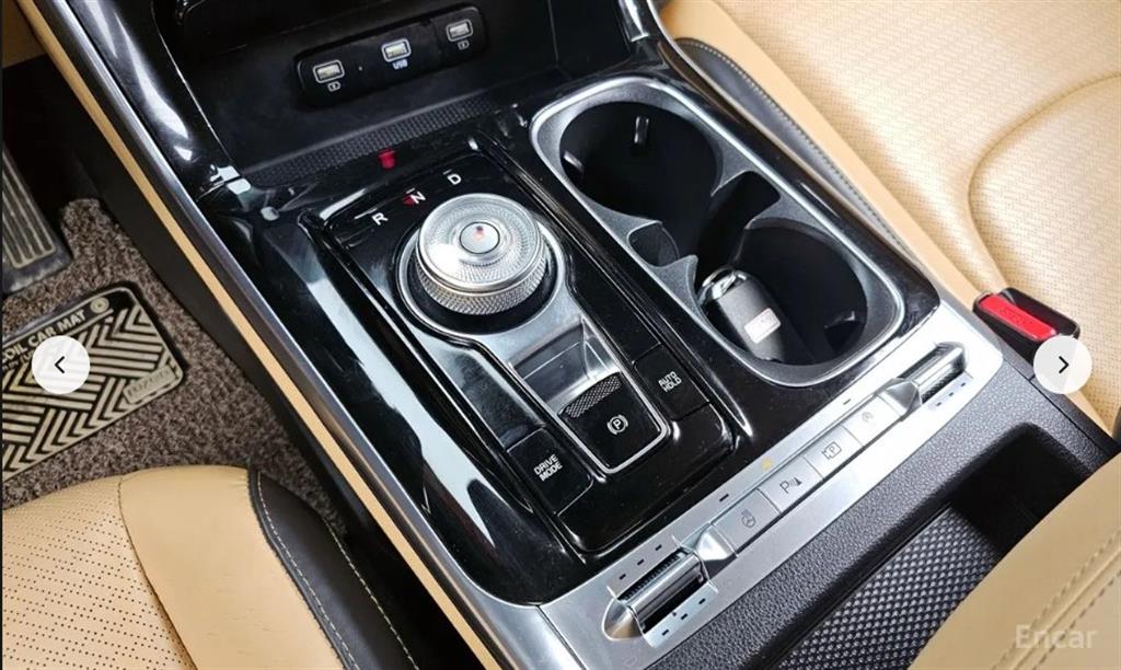 KIA Carnival - Vista 9