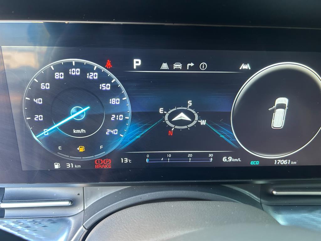 KIA Carnival - Vista 9