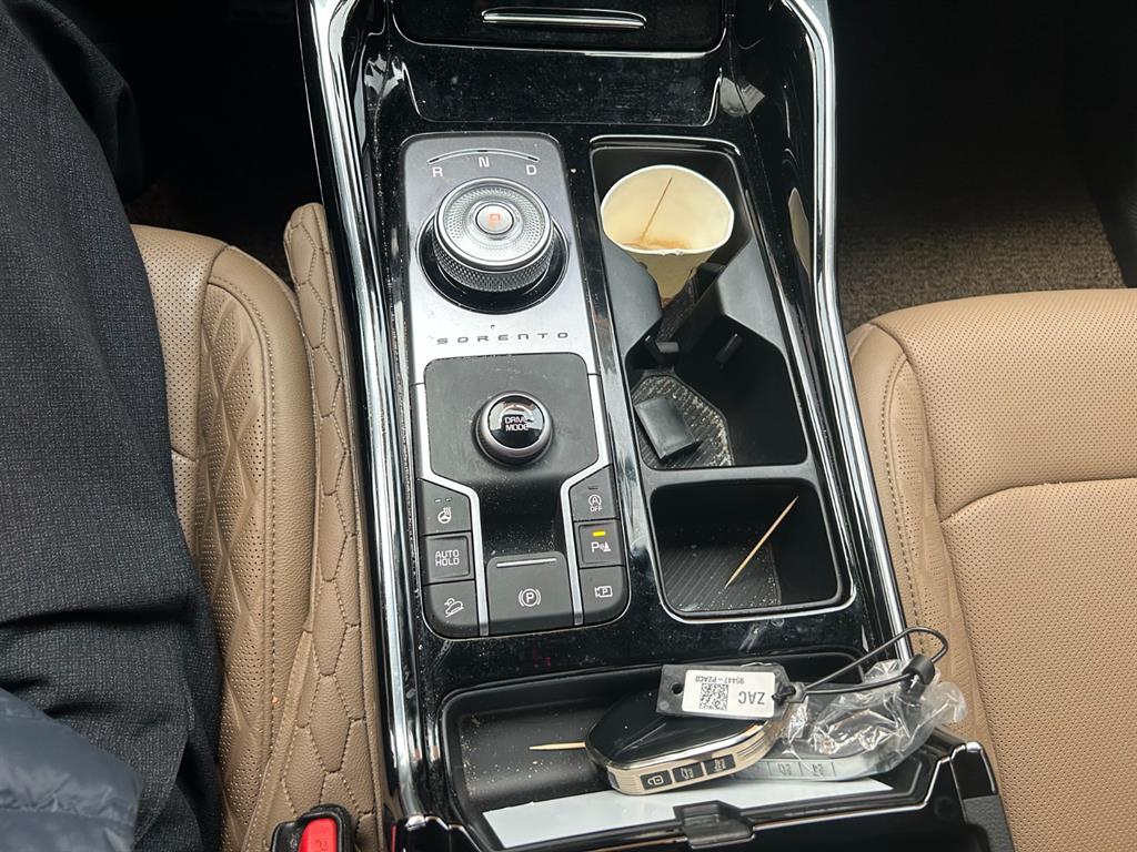 KIA Sorento - Vista 9