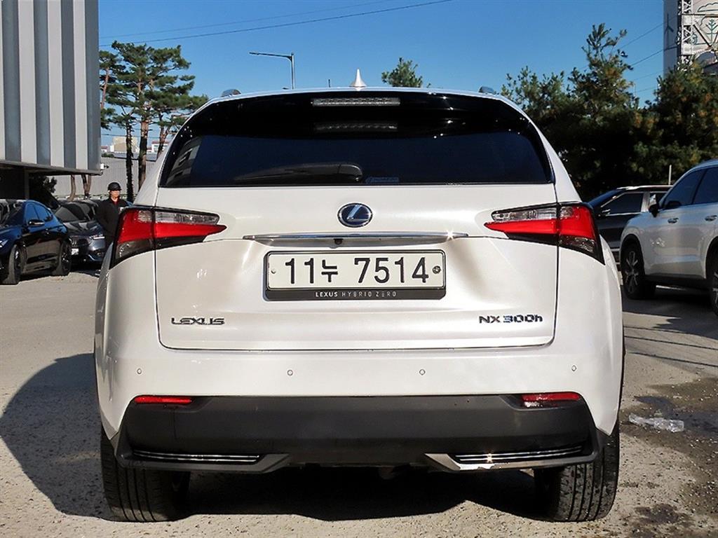 Lexus NX - Vista 4