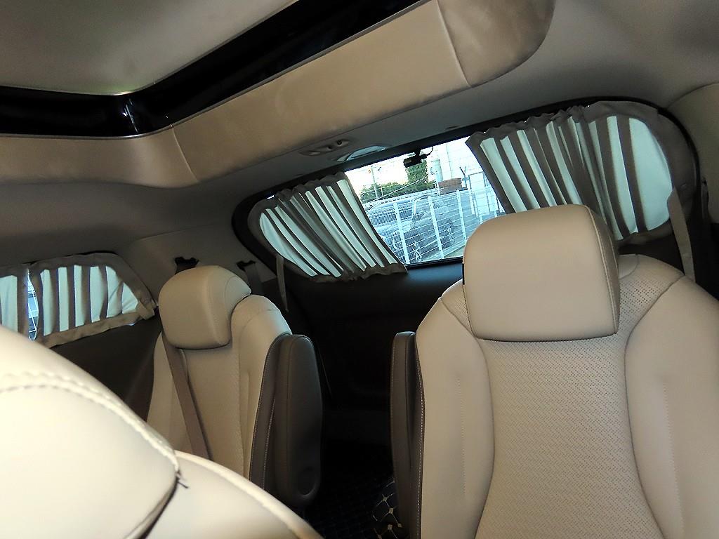 KIA Carnival - Vista 7