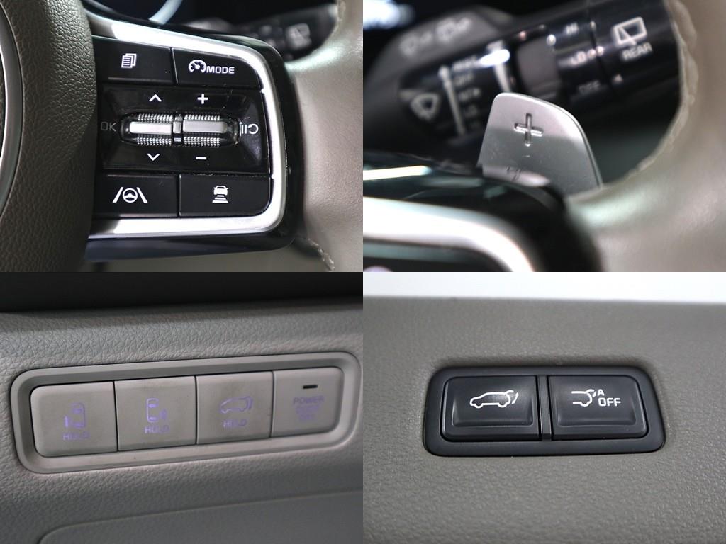 KIA Carnival - Vista 9