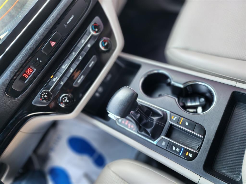 KIA Carnival - Vista 12