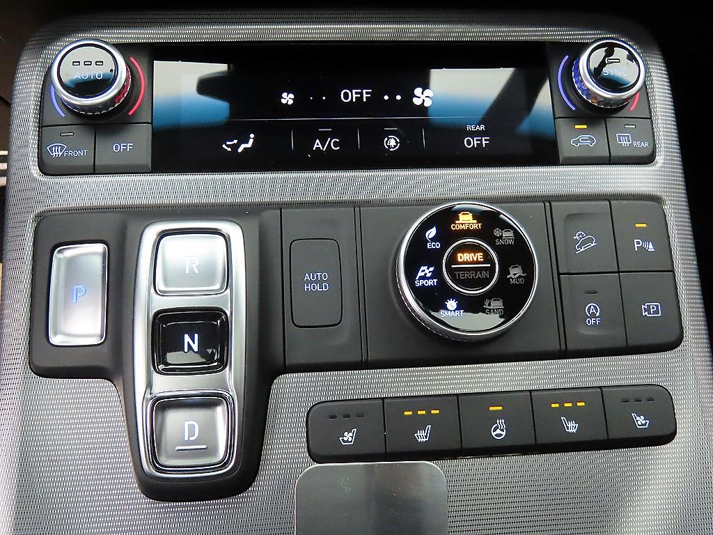 HYUNDAI Palisade - Vista 10