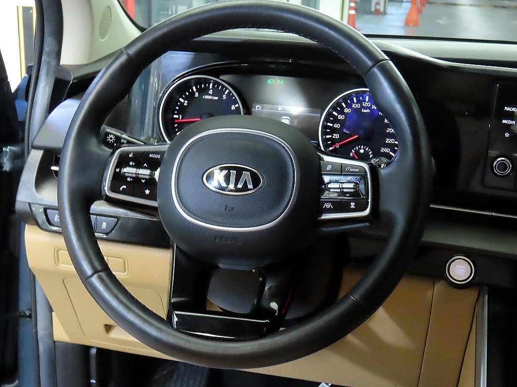 KIA Carnival - Vista 8