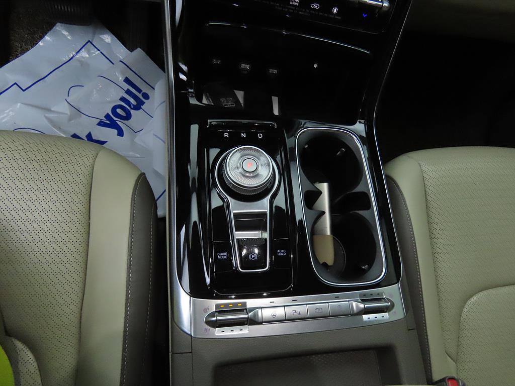 KIA Carnival - Vista 11