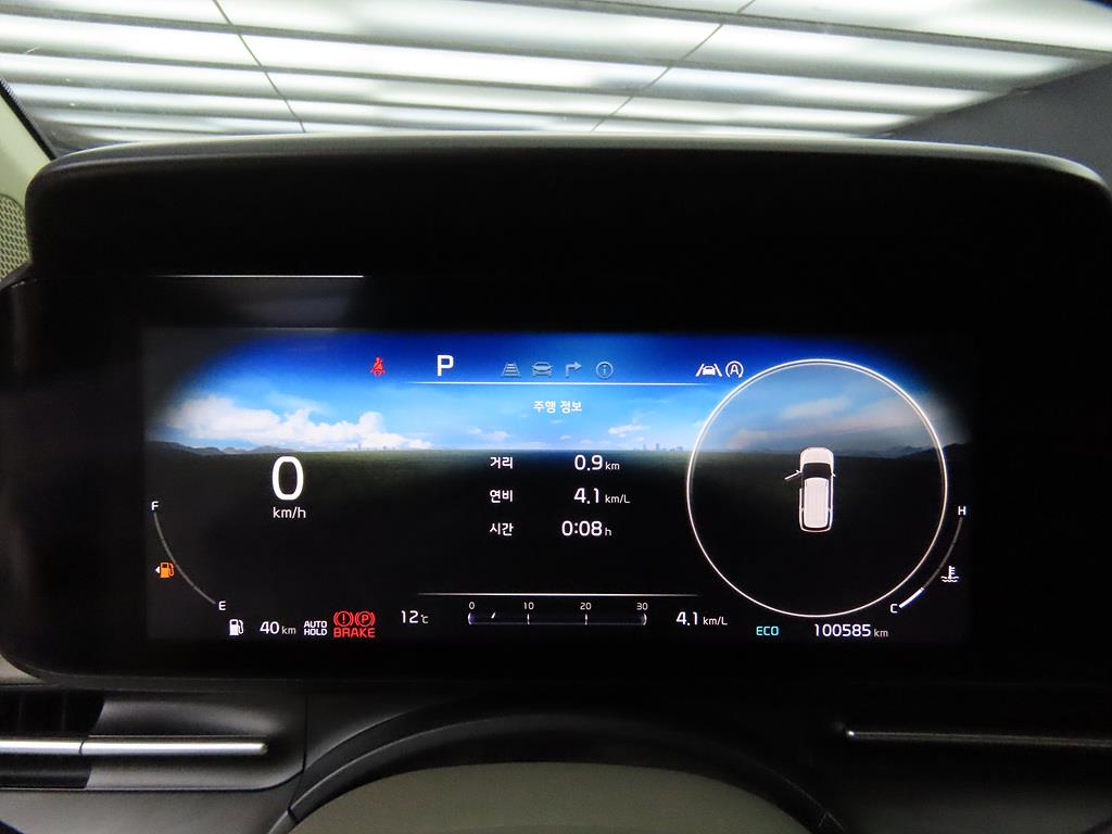 KIA Carnival - Vista 9